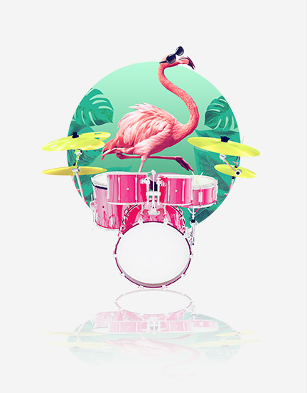 Flamingo Pulse